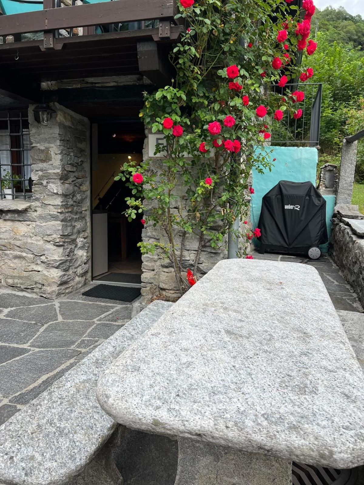 Vila Rustico Efrina, Neu Renoviert Frasco Exteriér fotografie